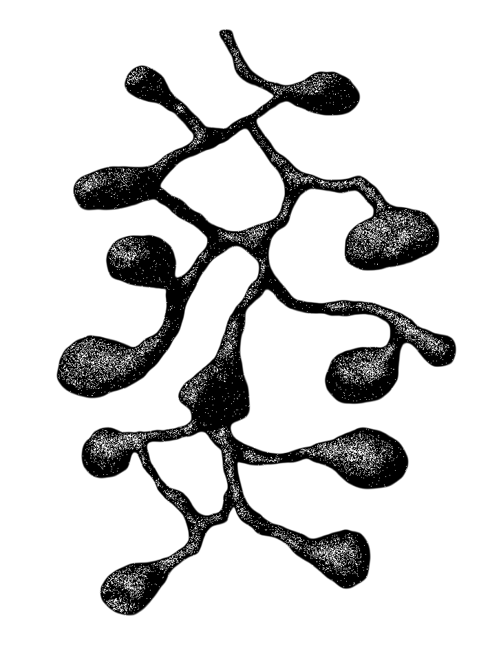 SoundOfTheBelgianUnderground2026